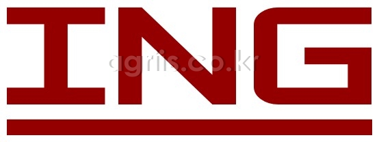 이태리 ING 해머로터리<b>날</b> ING-100(1박스 10개) 사진2