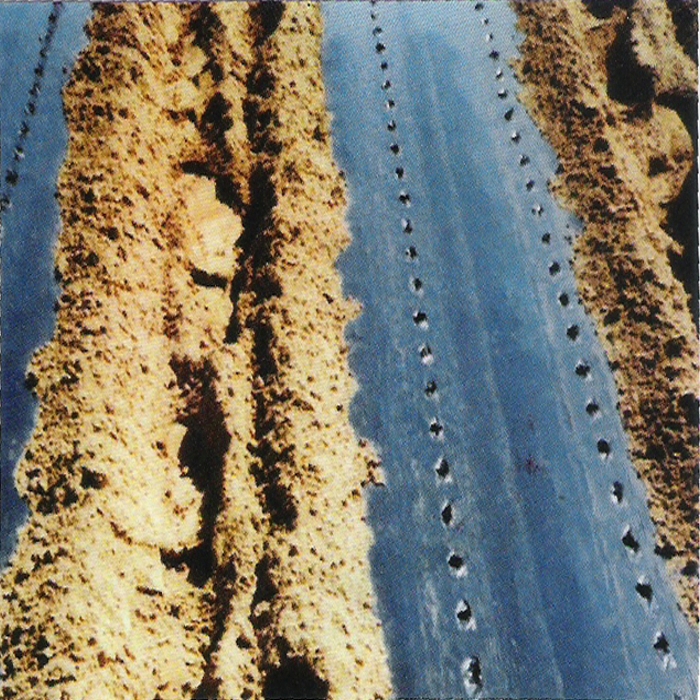 아신산업 <b>다용도</b><b>파종기</b> ASR-2R(2조식:알루미늄 프레임) 사진2