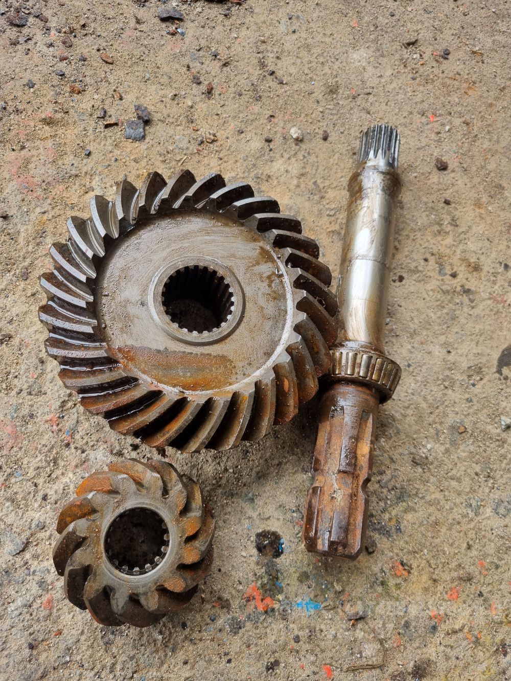    영진180로타리 사진2