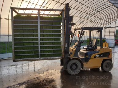  모판이송기 묘판이송기  모판이송기 사진1