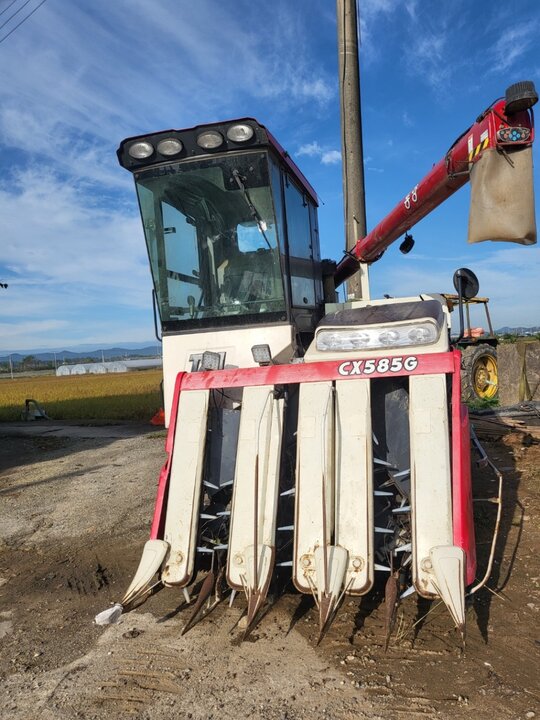 TYM Combine Harvester CX585G (5Rows) Assy 판매 사진1