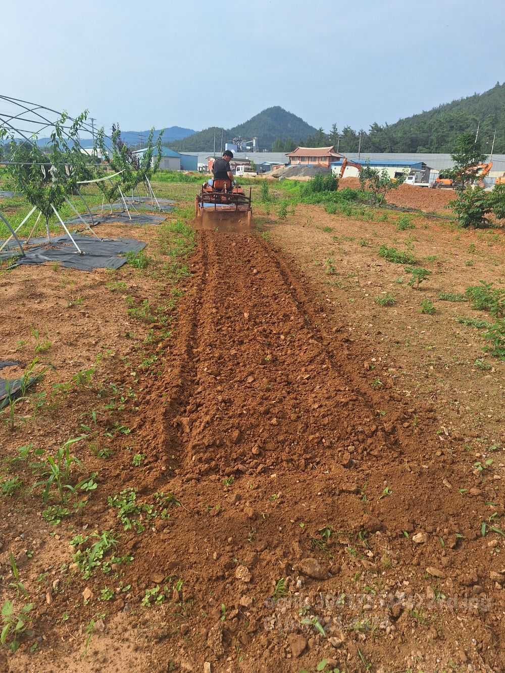 대동 트랙터  (16마력) 트랙터 사진2