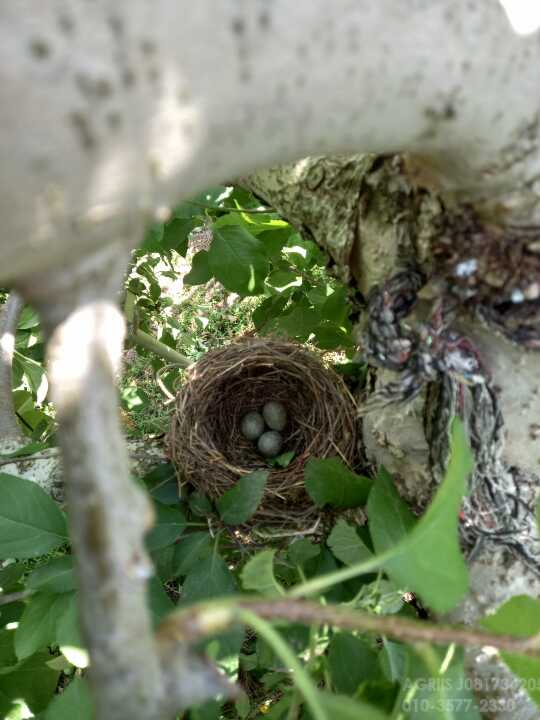    SS기적재함구해봅니다 사진1