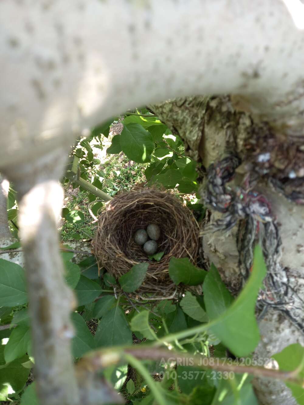    SS기적재함구해봅니다 사진2