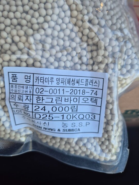 일본 카타만루양파종자 양파종자씨 앞좌측면