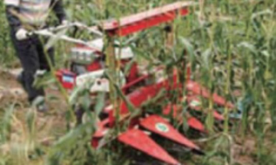  Cultivator 용 옥수수예취기 TR-1200C (6.5hp) 앞좌측면