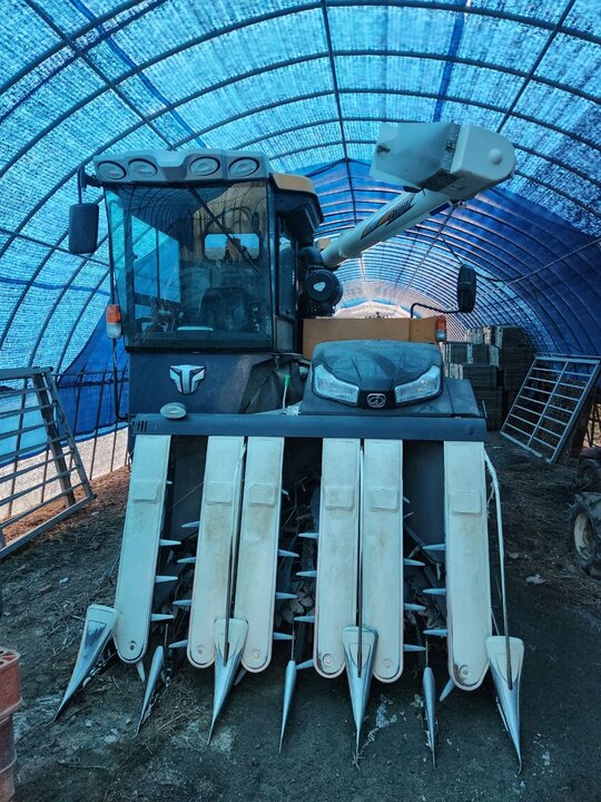 TYM 콤바인 HJ6135 (6조식) 앞좌측면