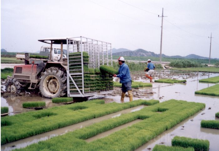 buwon 알루미늄 다목적 트랙터 운반기 KT-1200 엔진내부