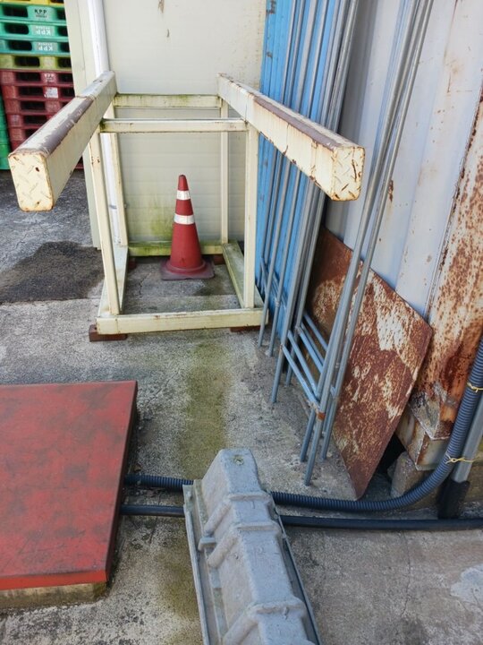  코끼리발 모름  앞좌측면