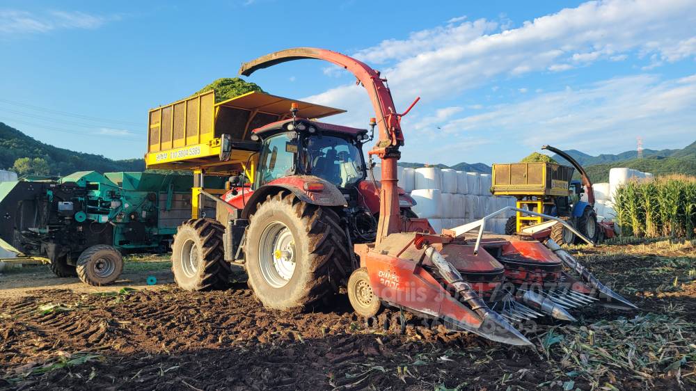  Corn Harvester C3000캠퍼  뒤우측면