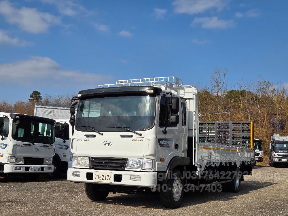 Hyundai 메가트럭5톤 6m25초장축자동사다리  뒤우측면