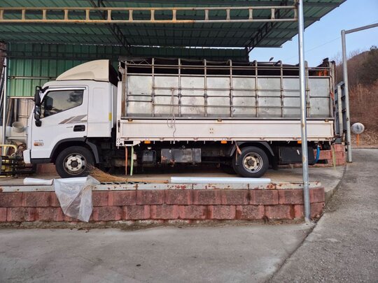 Hyundai 현대3.5톤 3.5톤 가축운반차  앞좌측면