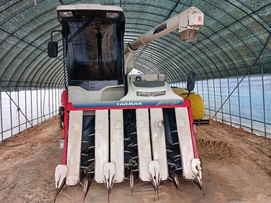 Yanmar Combine Harvester GC695 (6Rows) 앞좌측면