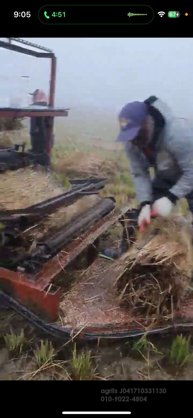  인삼밭 꺼치 인삼밭 꺼치 앞좌측면