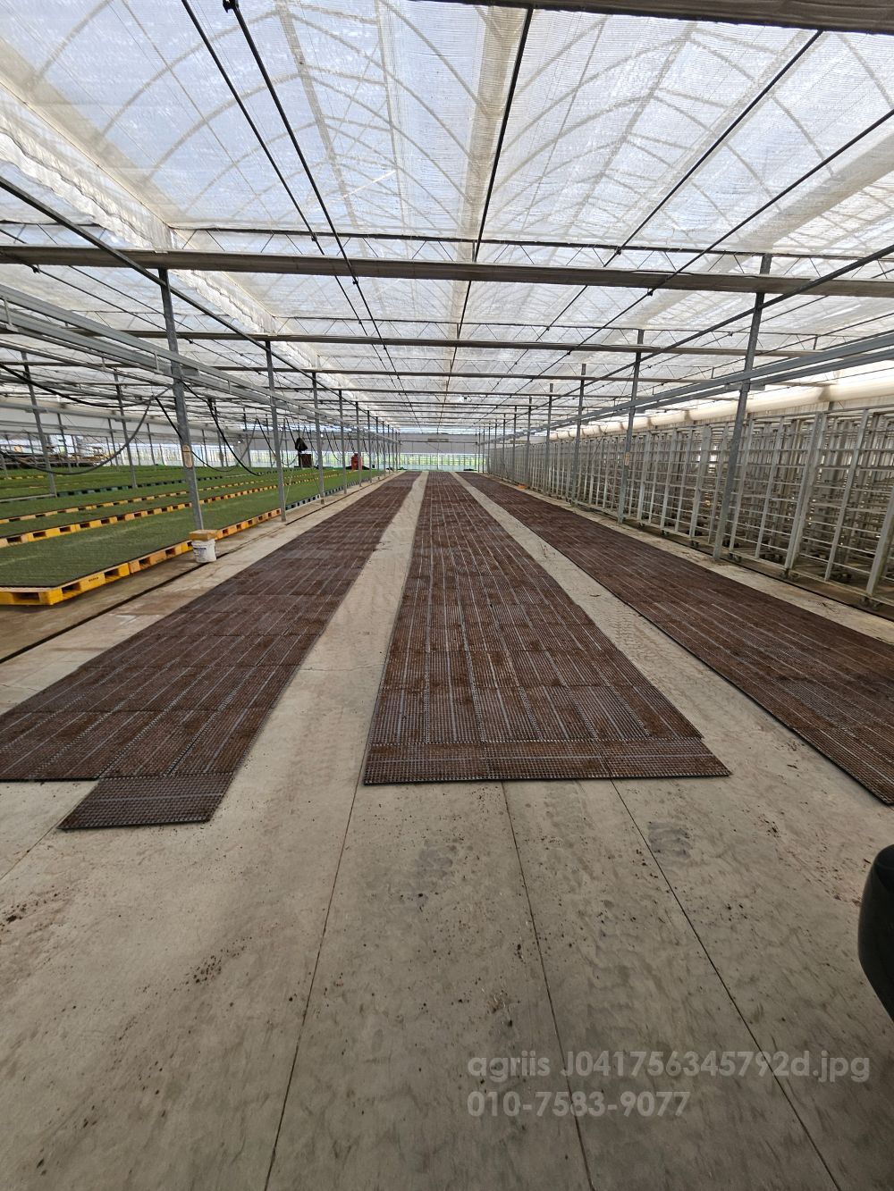  죽암448트레이 죽암448트레이  뒤우측면