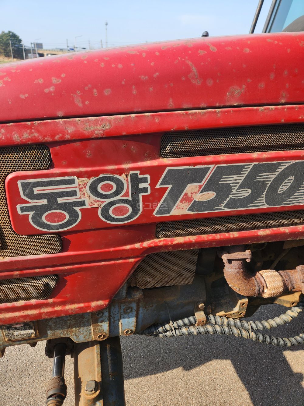 TYM 트랙터 T550 (55마력) 뒤우측면
