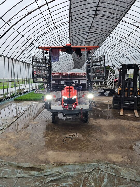 Kubota Rice transplanter KNW8SFS-GS (8Rows) 앞좌측면