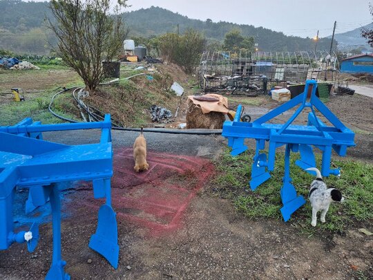  Plow 서해6련  앞좌측면