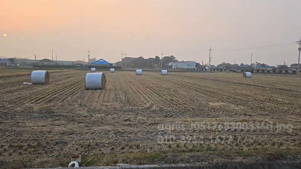  볏짚 볏짚 뒤우측면