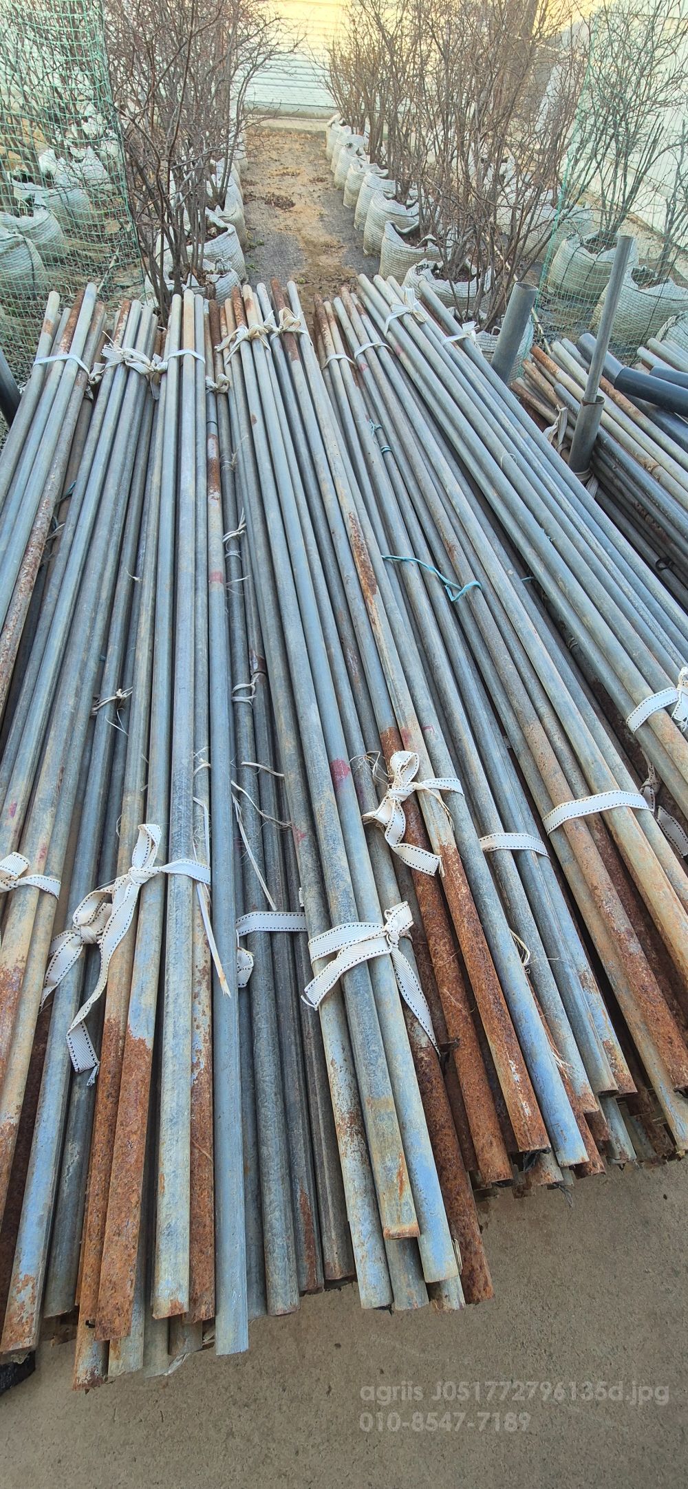 고추 지지대 파이프 고추 지지대 파이프 고추 지지대 파이프 뒤우측면