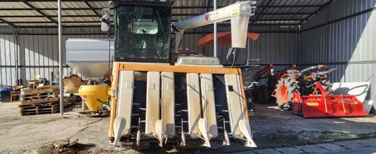 TYM Combine Harvester CX6130 (6Rows)