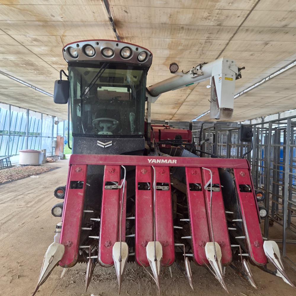 Yanmar Combine Harvester YH7115 (7Rows) 뒤우측면