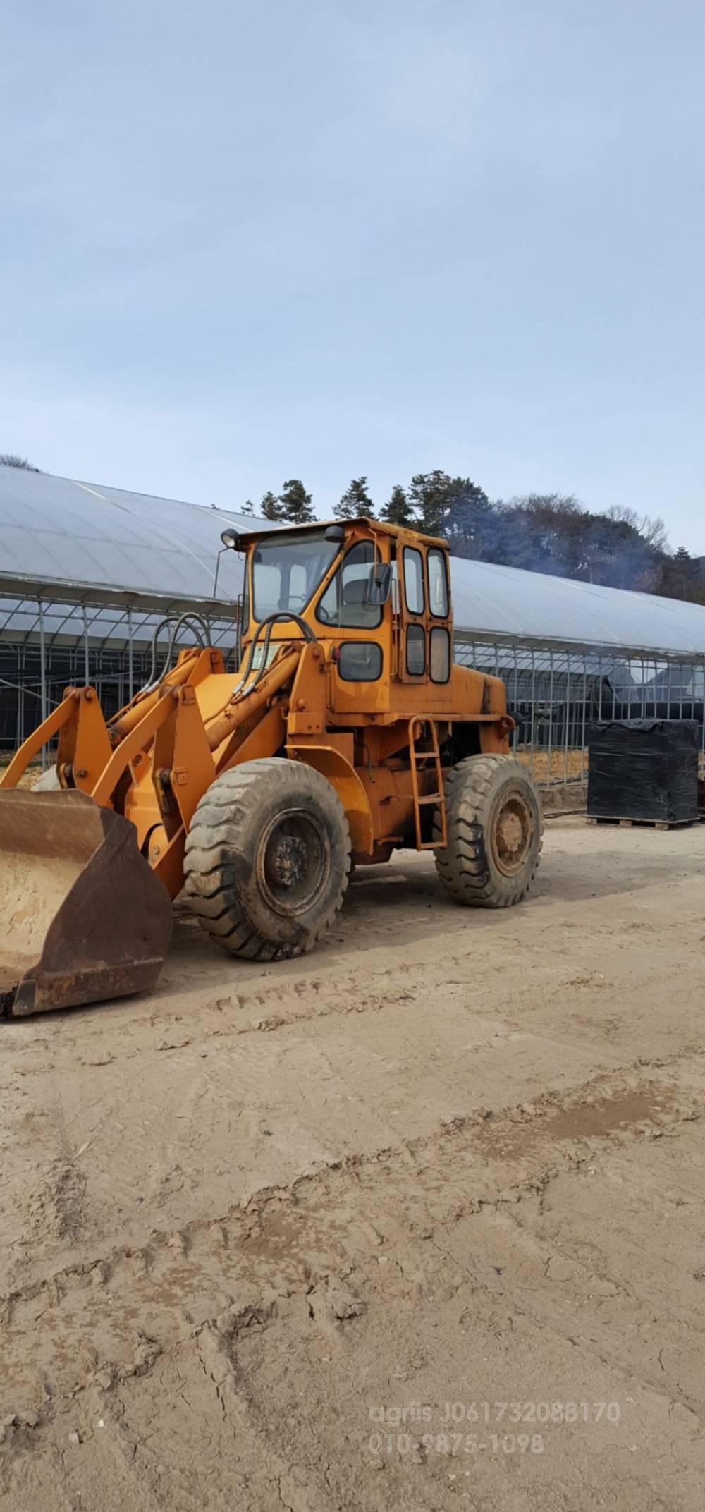 한라 페이로다  페이로다 한라 페이로다 3루베 사진 7