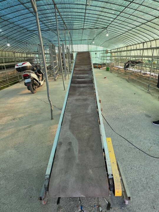  컨베이어 벨트 5m 컨베이어벨트  앞좌측면