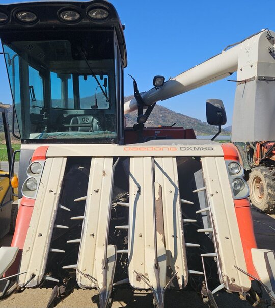 Daedong Combine Harvester DXM85 (5Rows) 앞좌측면