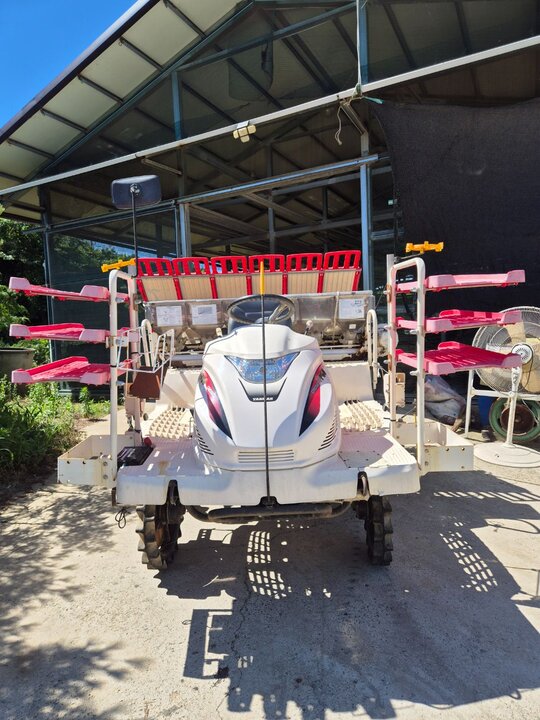 Yanmar Rice transplanter VP60 (6Rows) 앞좌측면