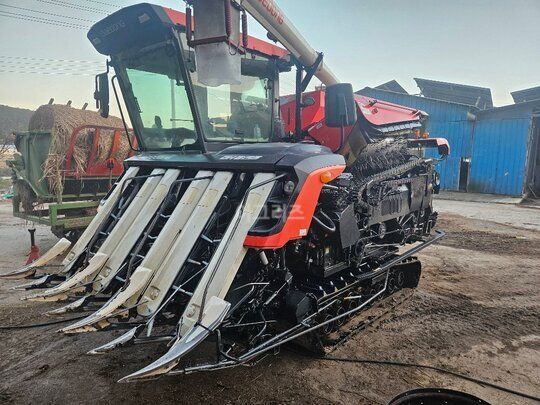 Daedong Combine Harvester DH6135 (6Rows) 앞좌측면