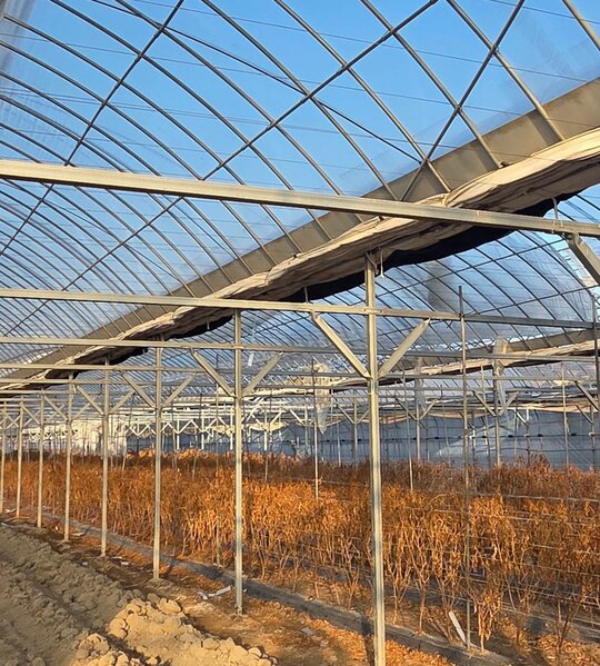 비닐하우스900평 연동하우스 900평 연동비닐하우스 전체  앞좌측면