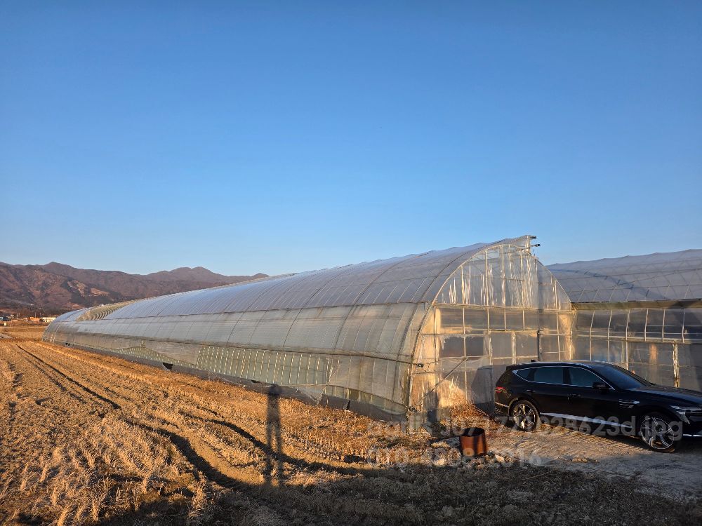  비닐하우스900평 연동하우스 900평 연동비닐하우스 전체  뒤우측면