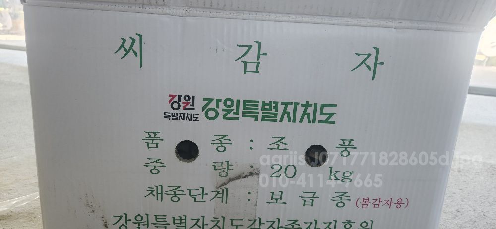  보급종조생감자 보급종조생감자  뒤우측면