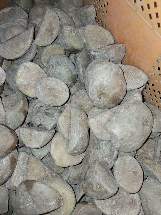  씨감자 추백 감자씨 수량 6박스 앞좌측면