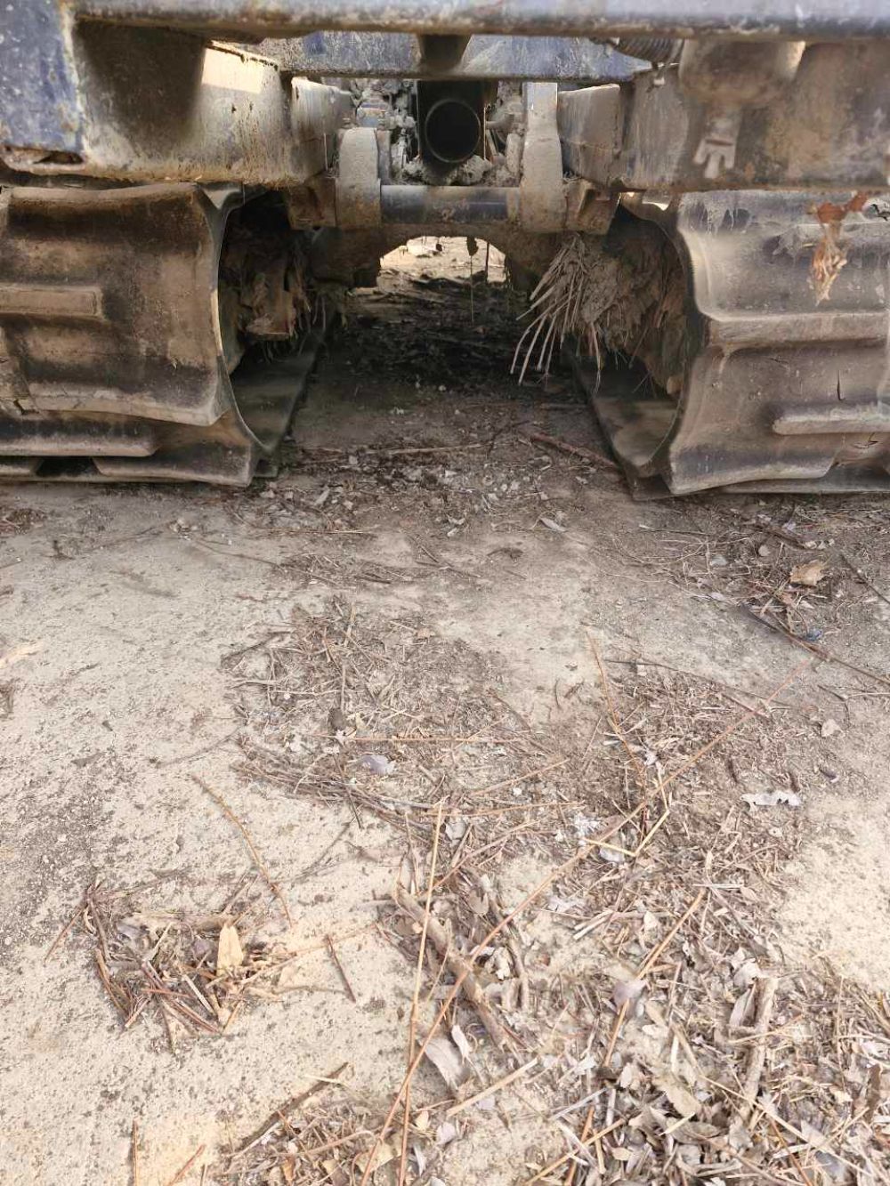 TYM Combine Harvester C805 (5Rows) 뒤우측면