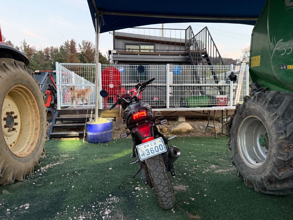 보그300 300cc 바이크 바이크 뒤우측면