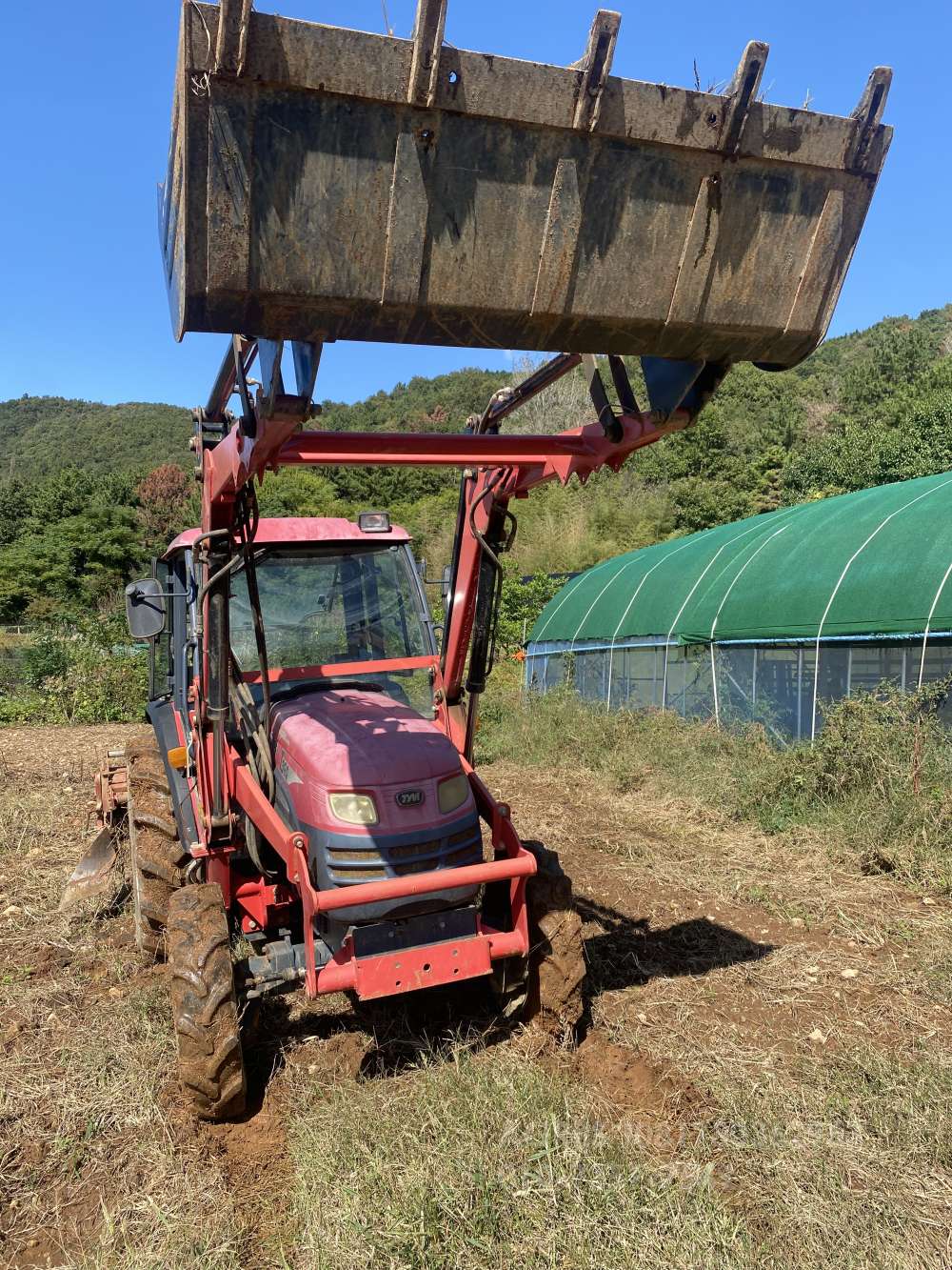 TYM 트랙터 T390 (39마력) 운전석